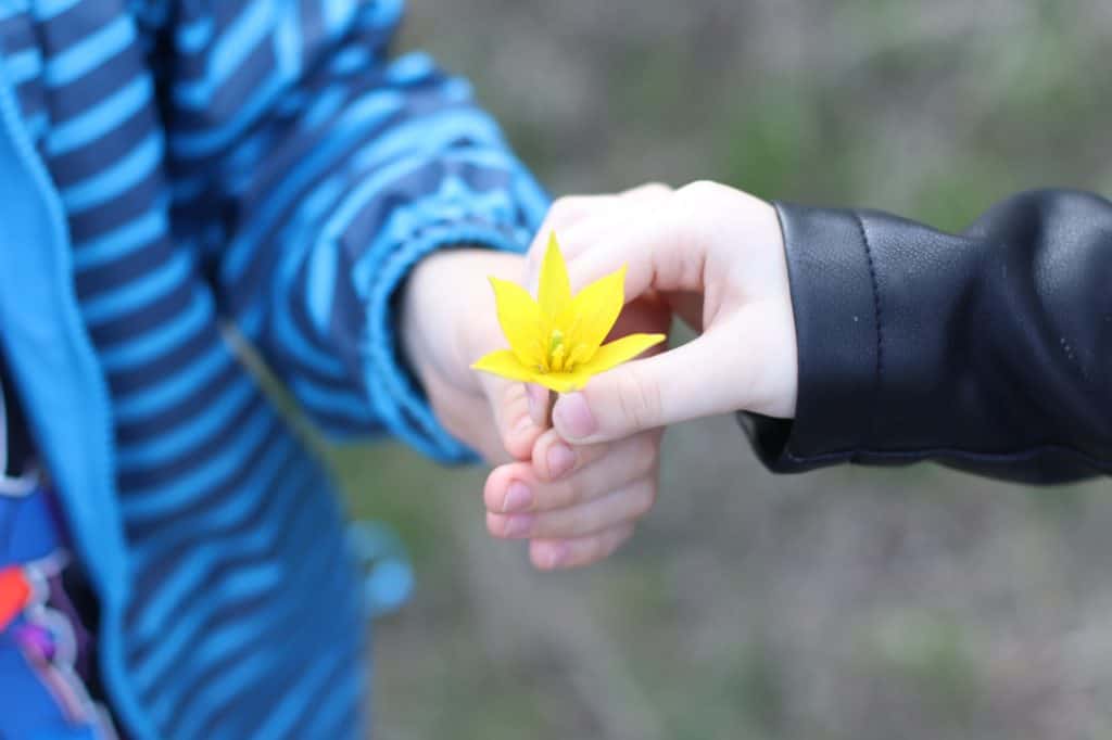 En gutt gir en jente blomster